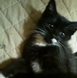 Meet your Posher, Luann